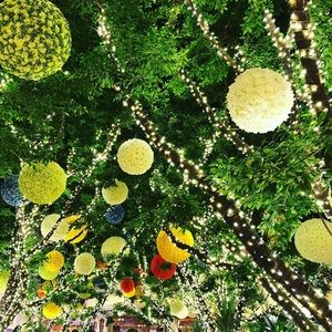 Meet your Posher, Cynthia